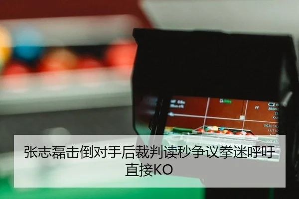 张志磊击倒对手后裁判读秒争议拳迷呼吁直接KO